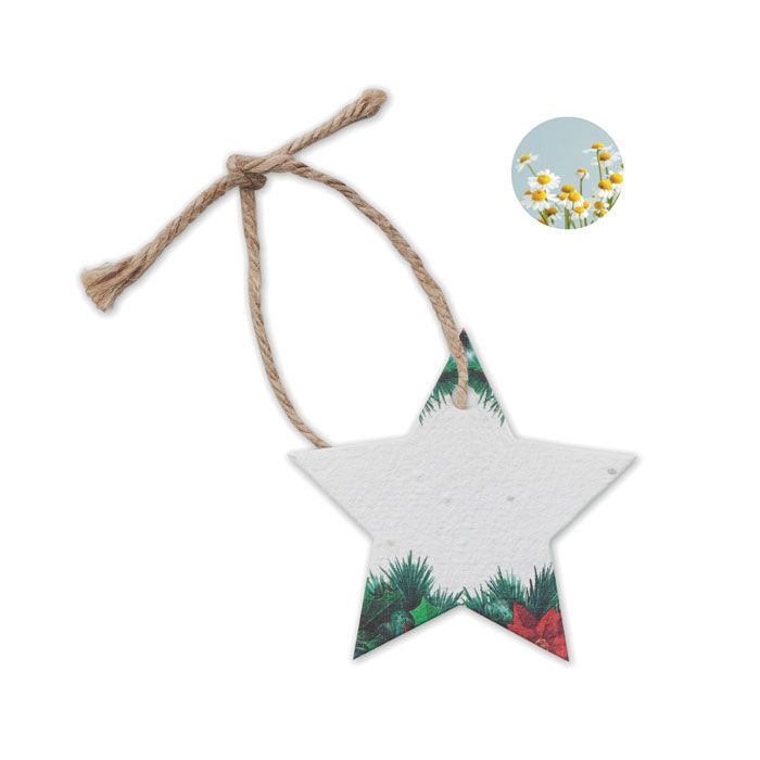 Weihnachtsschmuck Samenpapier STARSEED - weiß-811