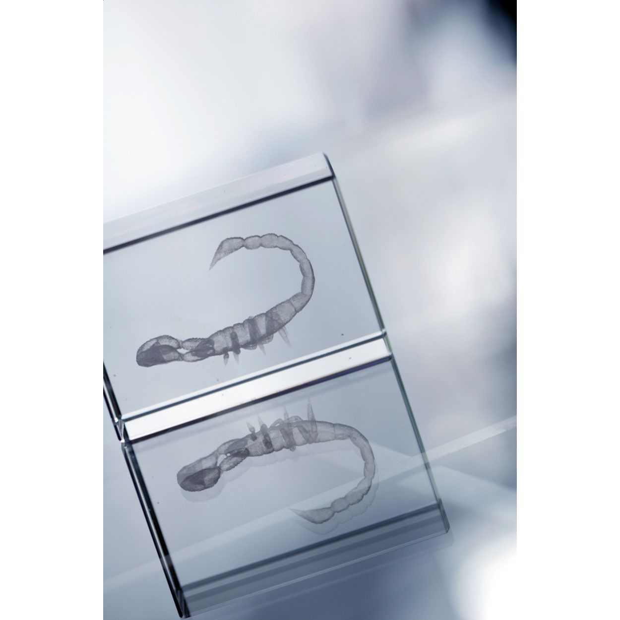 Macon Glas-Quader - transparent-512