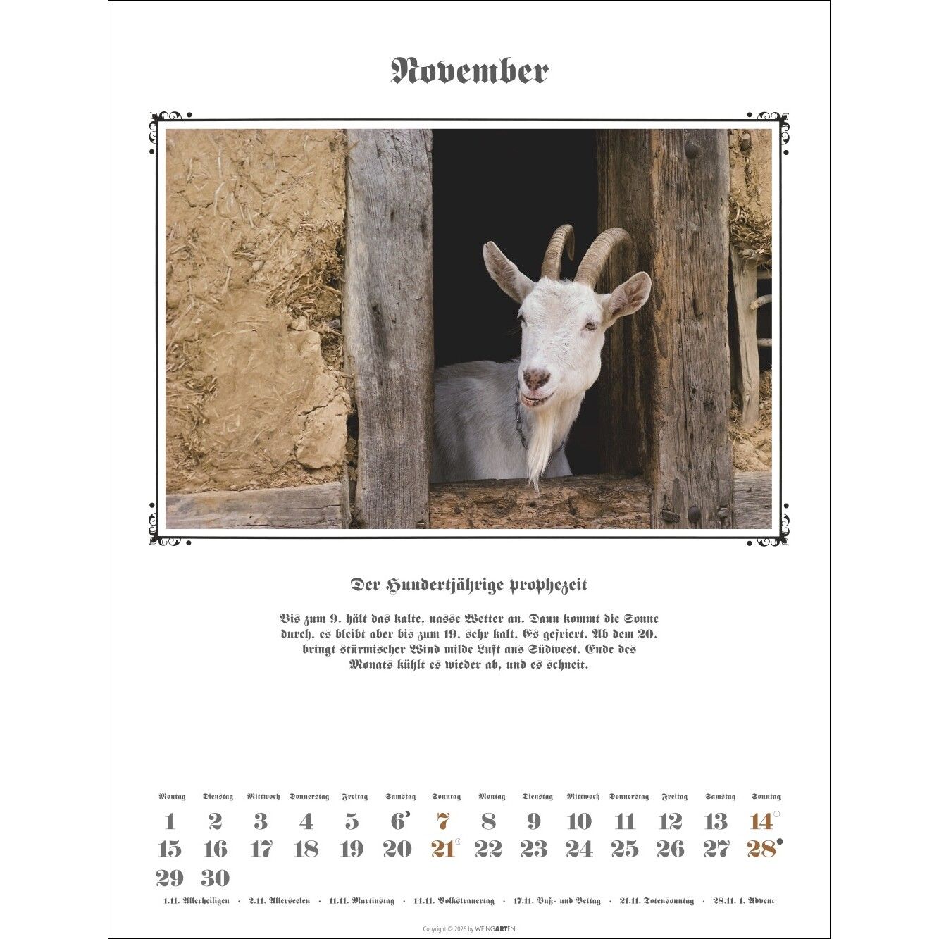 Der Hundertjährige Kalender-267