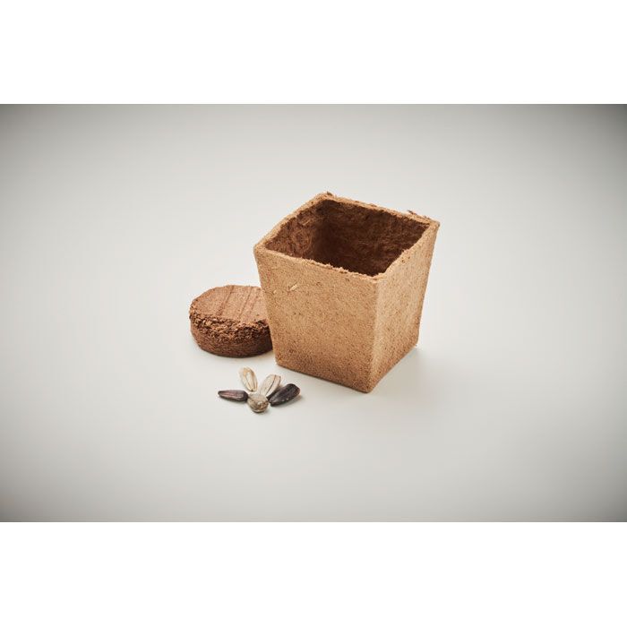Pflanz-Set Sonnenblume SUNFLOWER KIT - beige-668