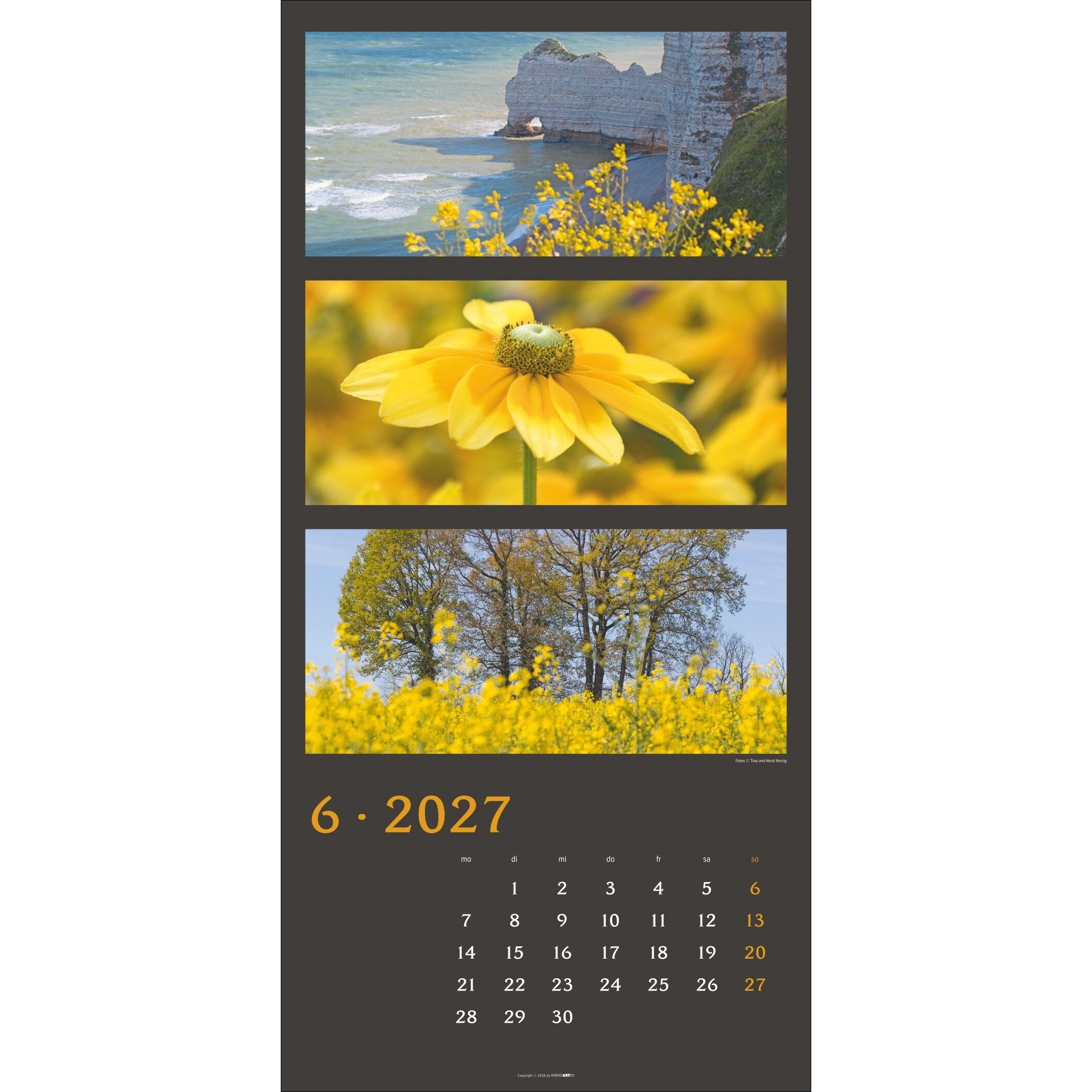 Die Farben der Natur - Landschaft & Natur Kalender-849