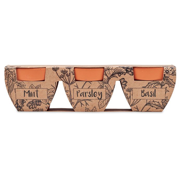 Terracotta-Set Kräuter FLOWERPOT - holz-149