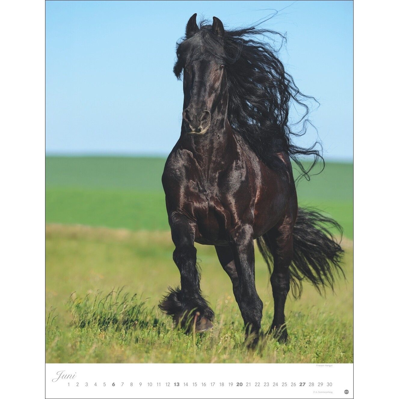 Pferde Classics Posterkalender-963