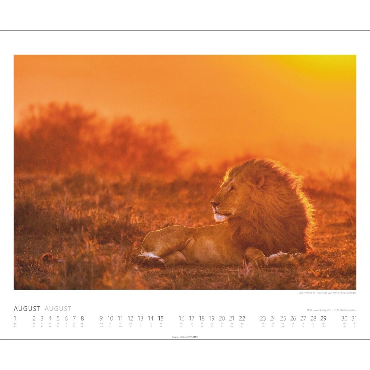 African Wildlife - Tiere  Kalender-44