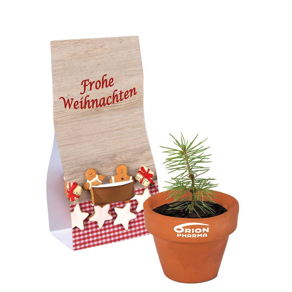 Logo-Töpfchen Überreichverpackung mit Samen - Glücksklee (* Je nach Verfügbarkeit der Glücksklee-Zwiebeln)-806