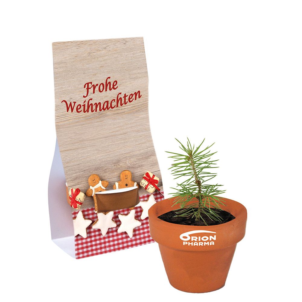 Logo-Töpfchen Überreichverpackung mit Samen - Glücksklee (* Je nach Verfügbarkeit der Glücksklee-Zwiebeln)-806