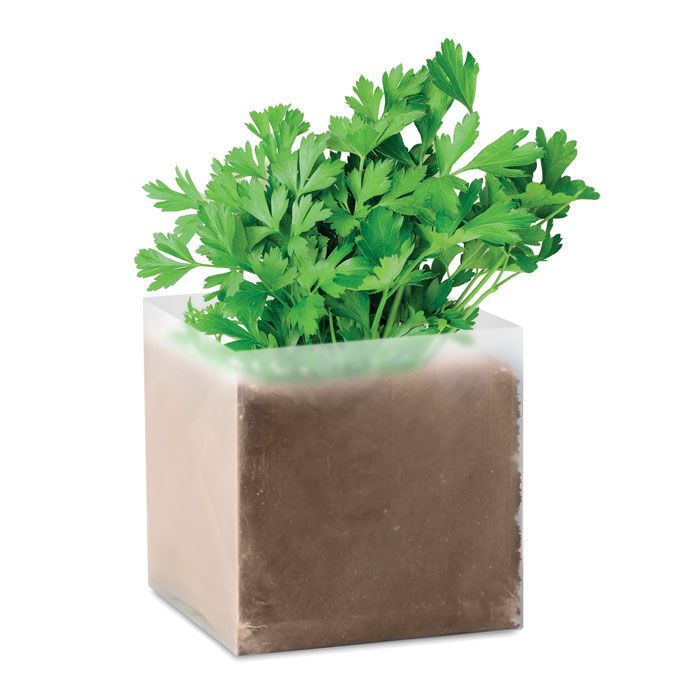 Pflanz-Set "Petersilie" PARSELY - beige-849