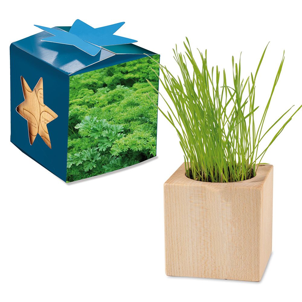 Pflanz-Holz Maxi Star-Box mit Samen - Petersilie, 1 Seite gelasert-92