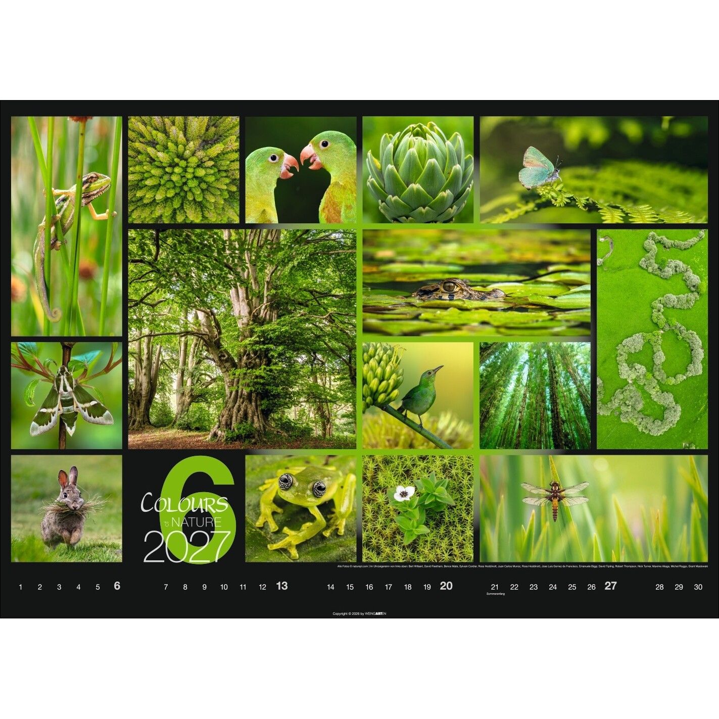 Colours of Nature - Landschaft & Natur Kalender-405