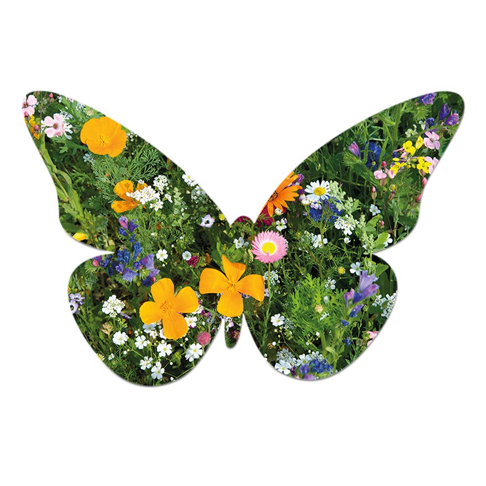Samenpapier in Klappkärtchen - Schmetterling-624