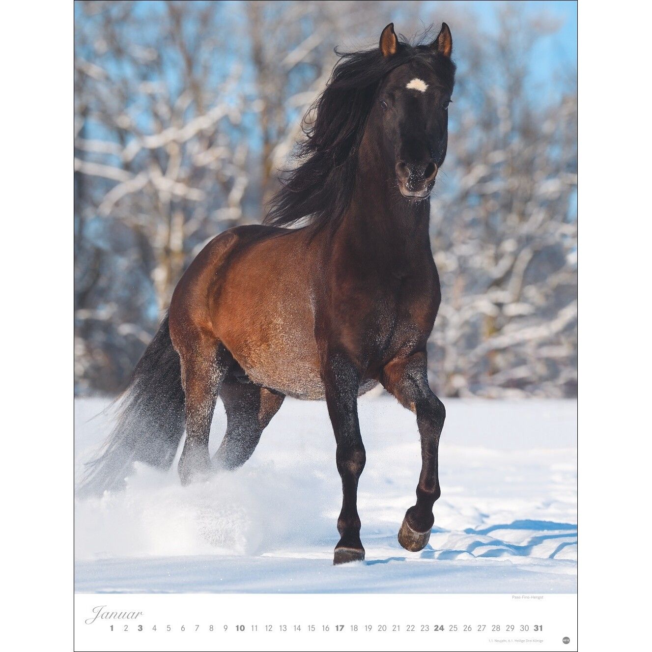 Pferde Classics Posterkalender-23