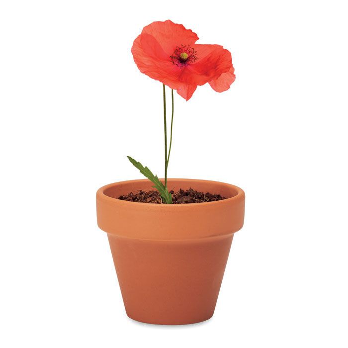 Terracotta-Topf Mohnblume RED POPPY - holz-210