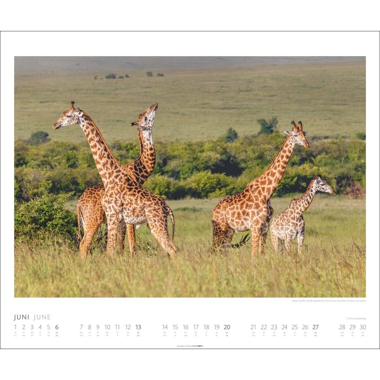 African Wildlife - Tiere  Kalender-213