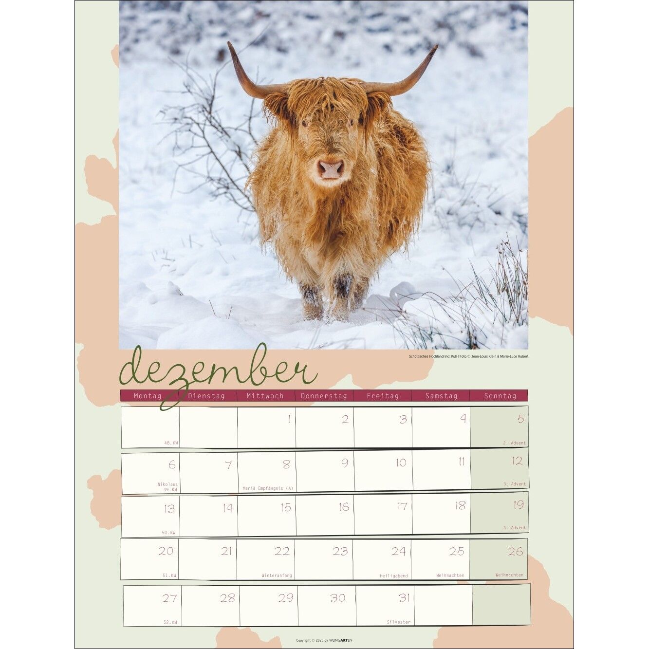 Kuh Kalender-105