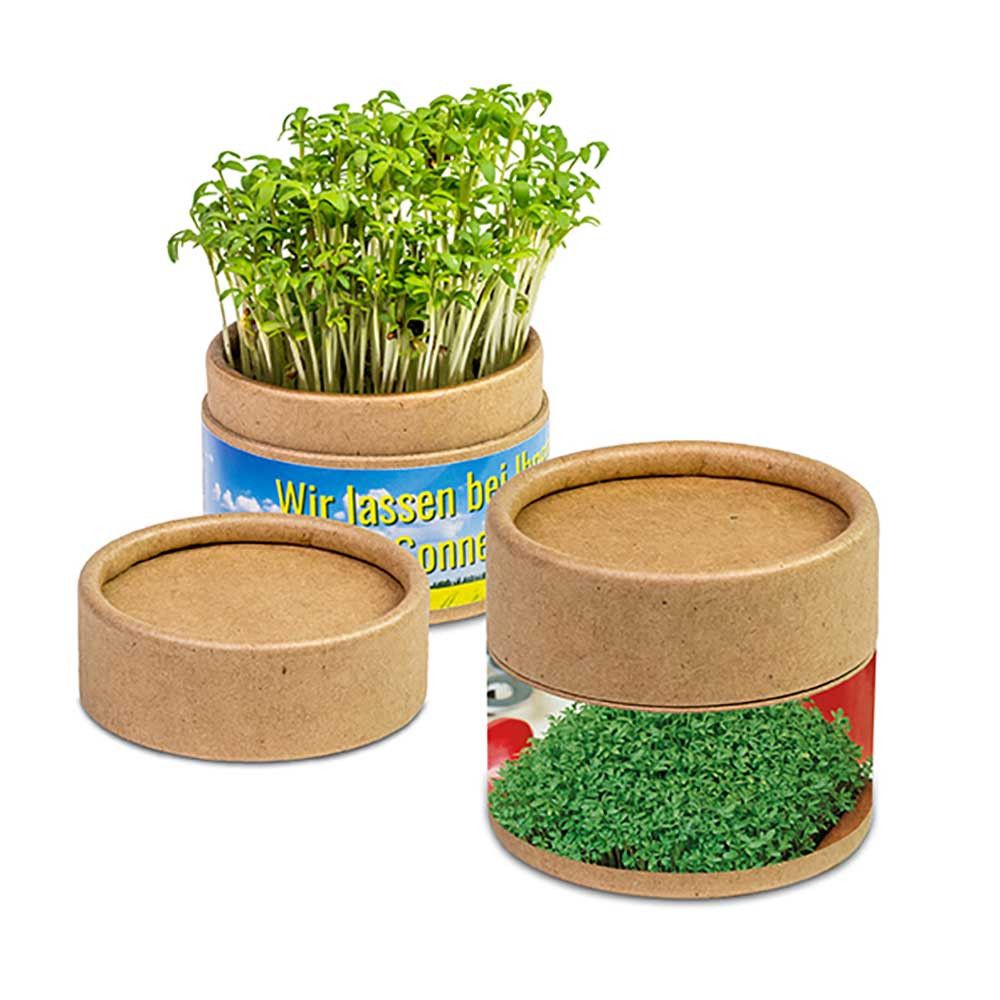 Pflanz-Cup mit Samen - Gartenkresse-927