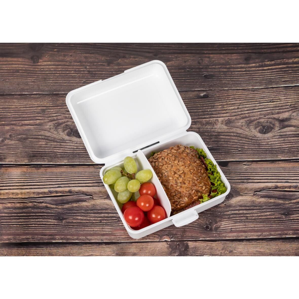Vorratsdose School-Box groß, mit Trennschale - transparent-milchig-515