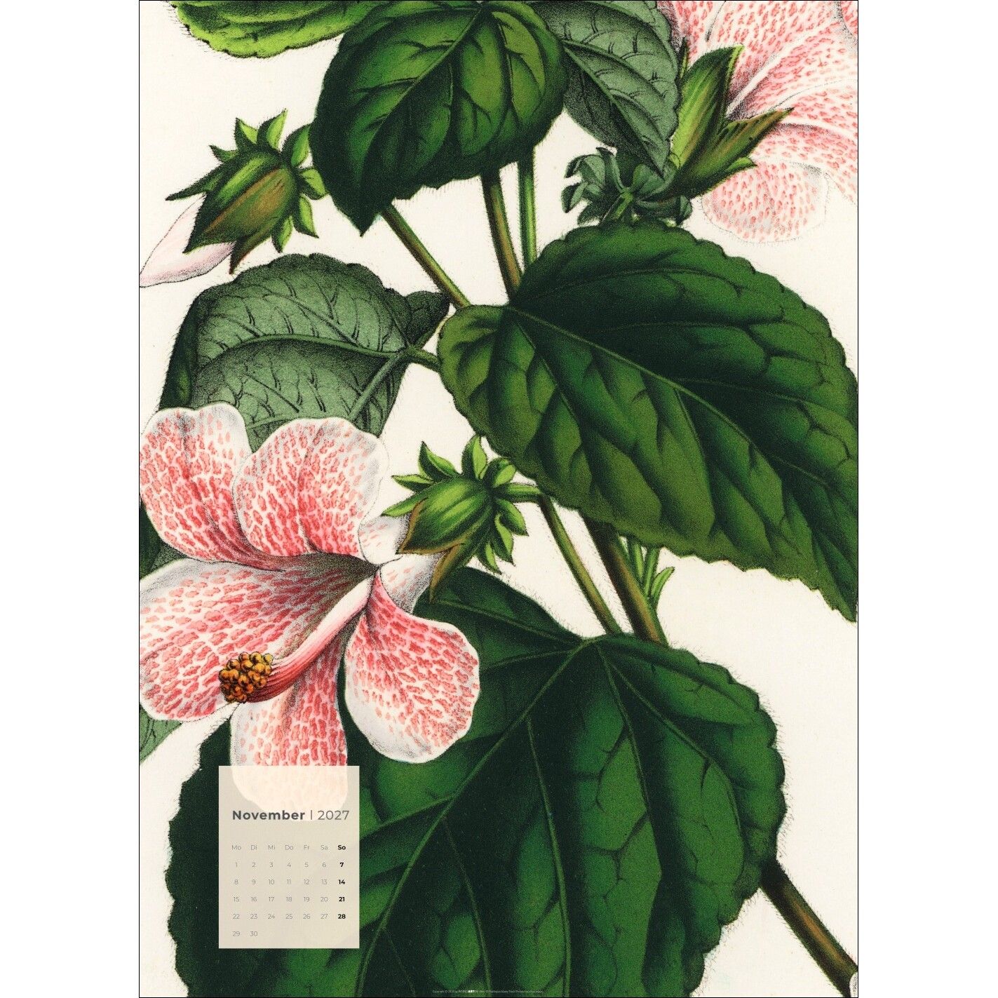 Botanicals - Kunst & Kultur Kalender-531