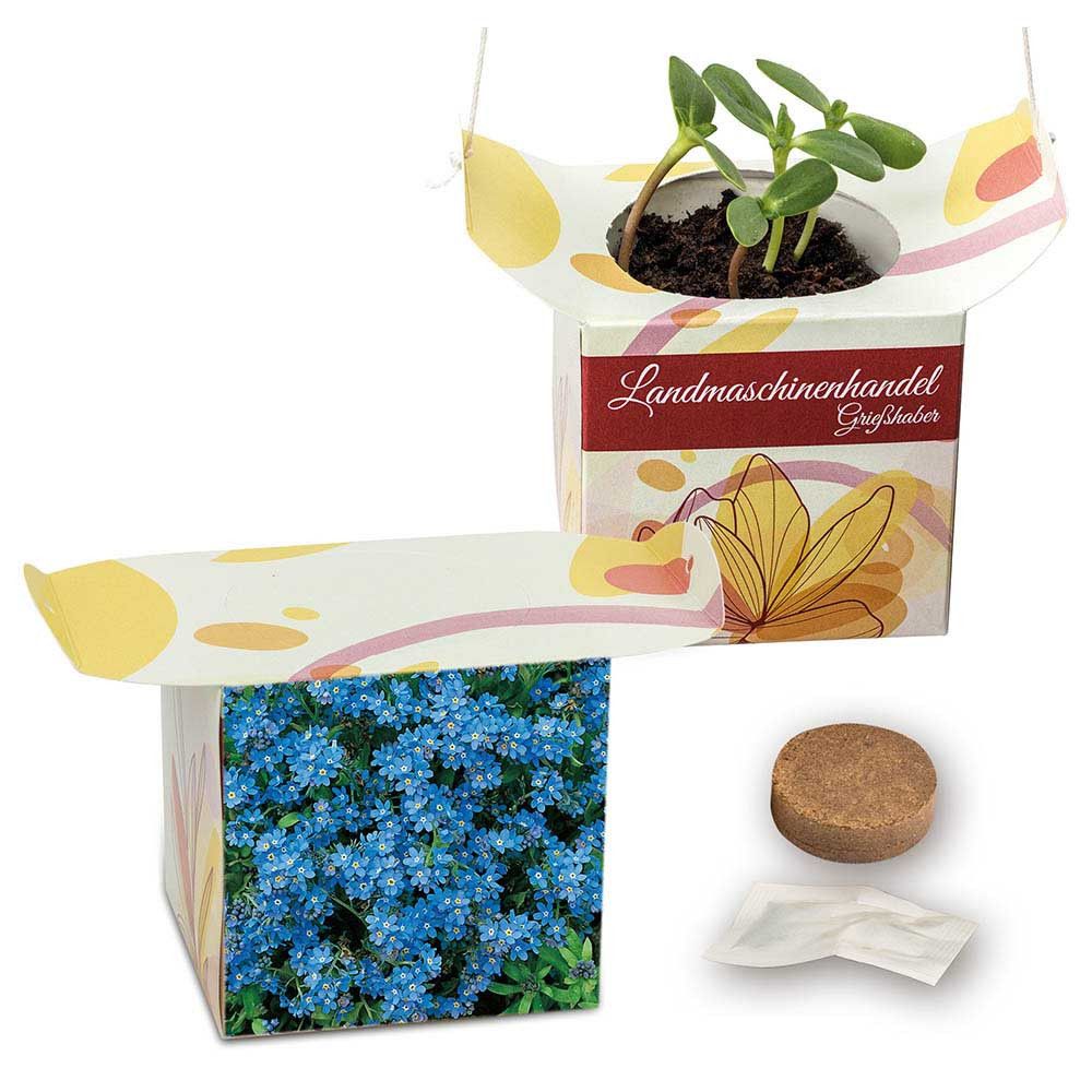Blumenampel - Vergissmeinnicht-151