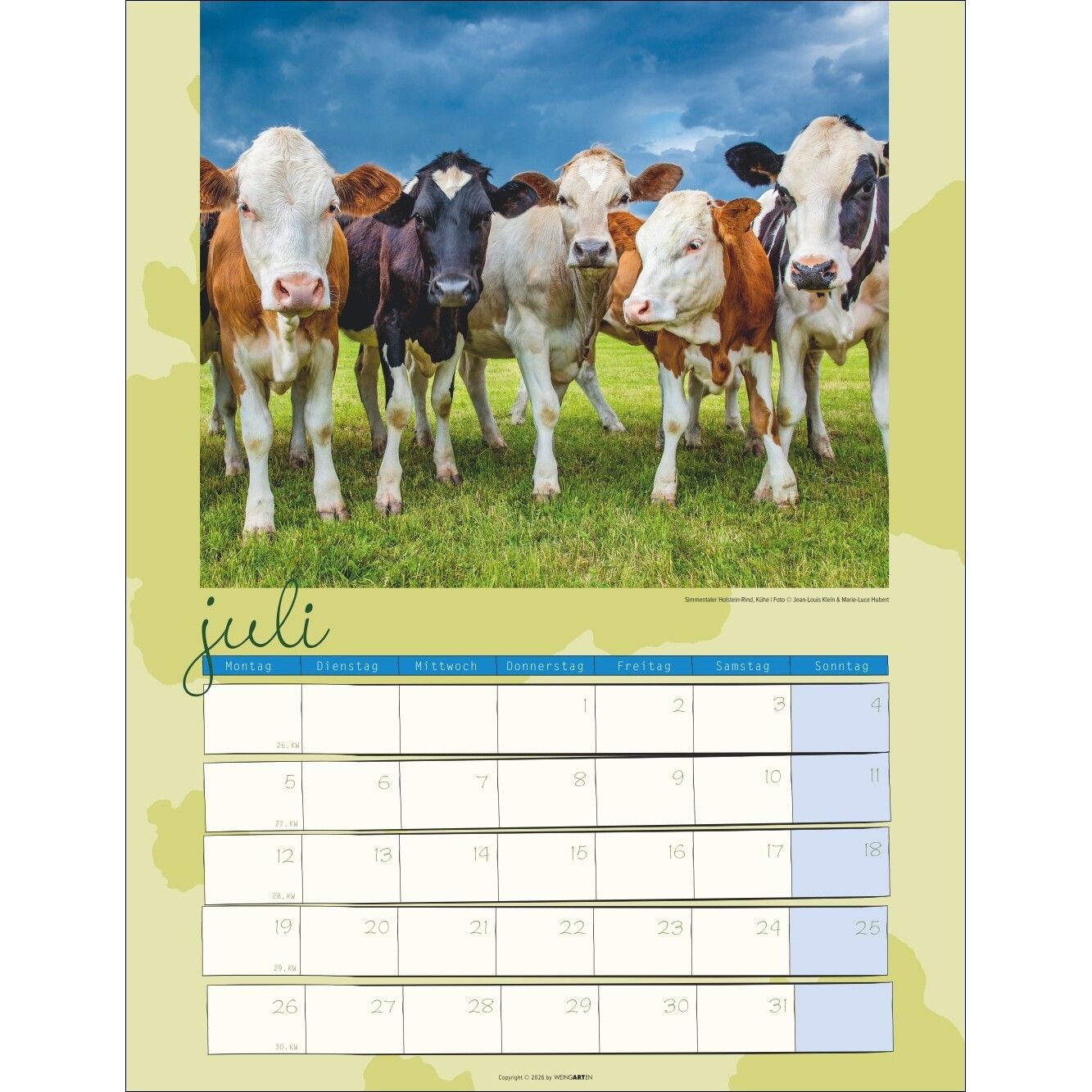 Kuh Kalender-972