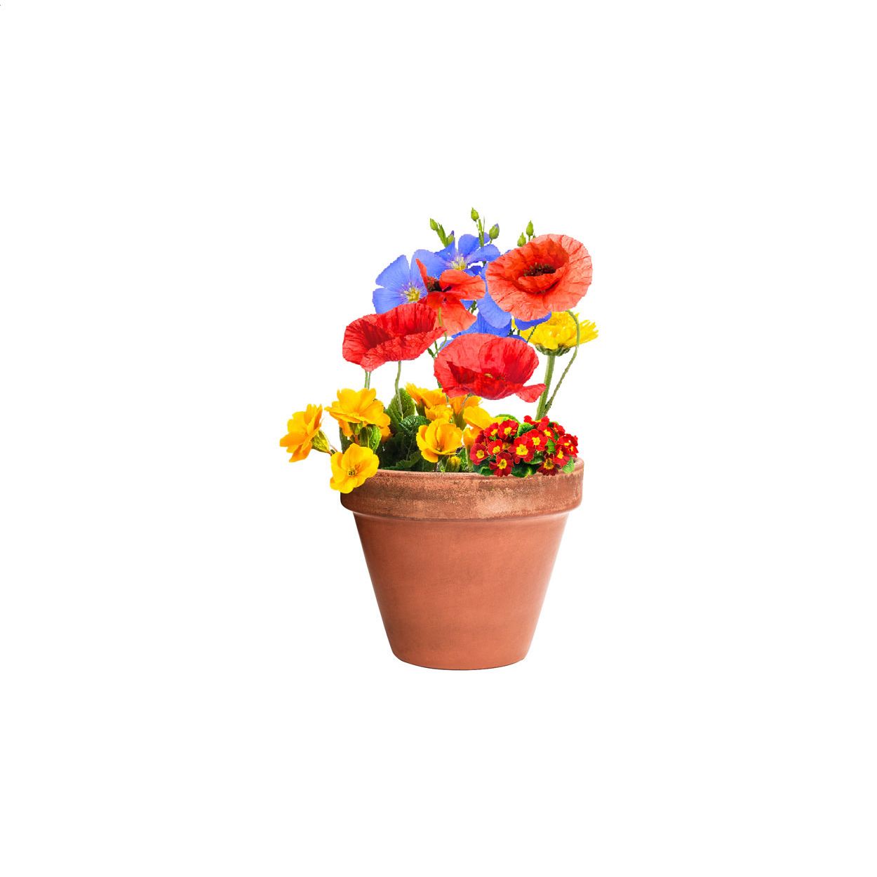 Pflanz-Set Biyok - natur-360