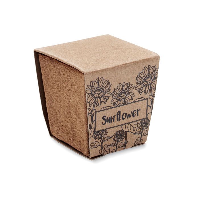 Pflanz-Set Sonnenblume SUNFLOWER KIT - beige-434