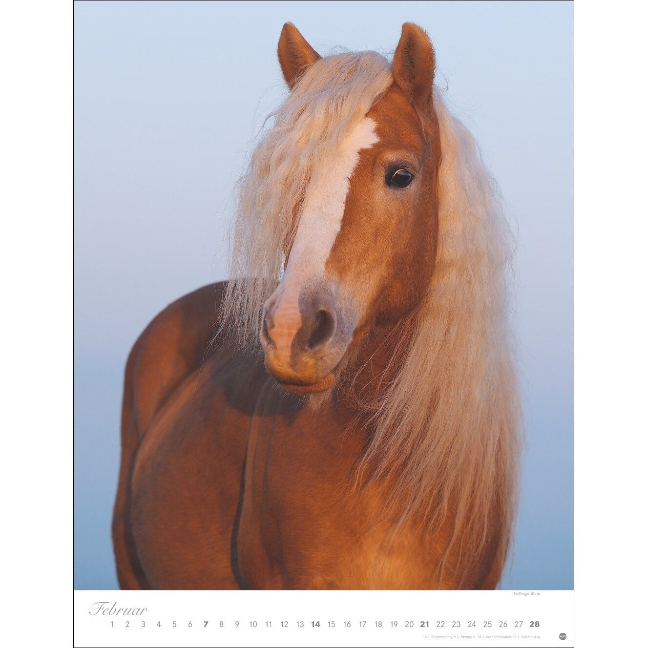 Pferde Classics Posterkalender-598