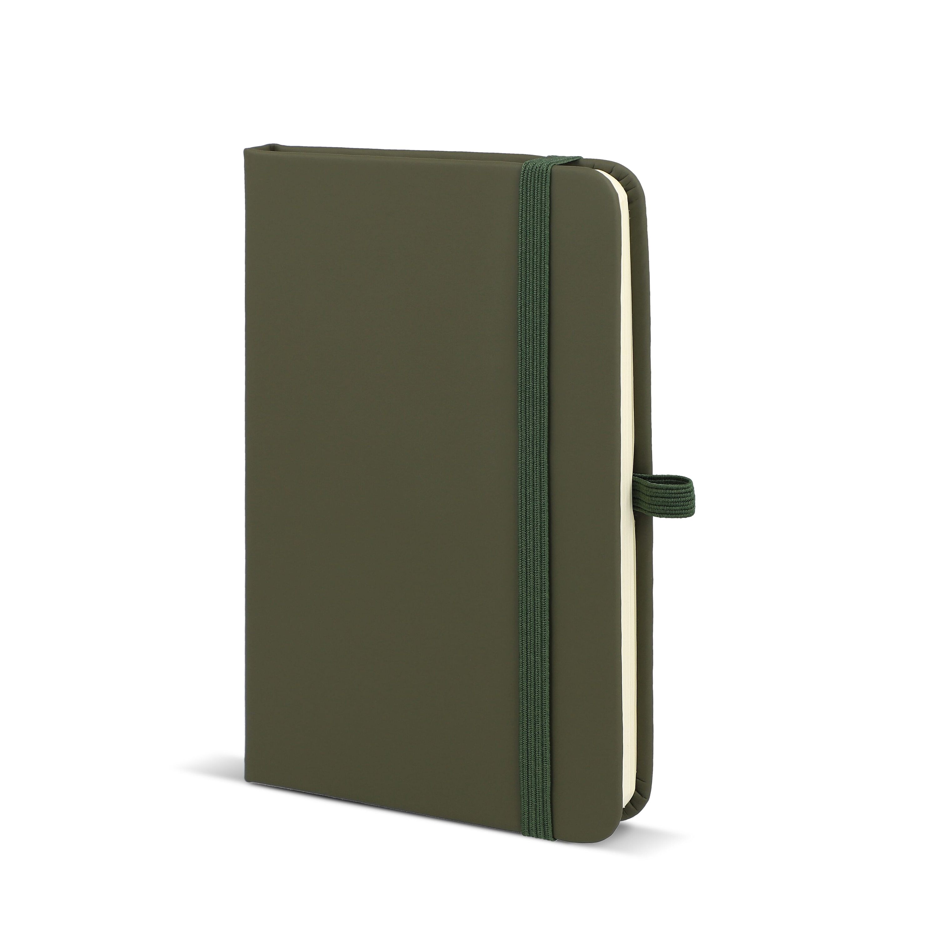 PU-Notizbuch Sora A6 - dried green-629