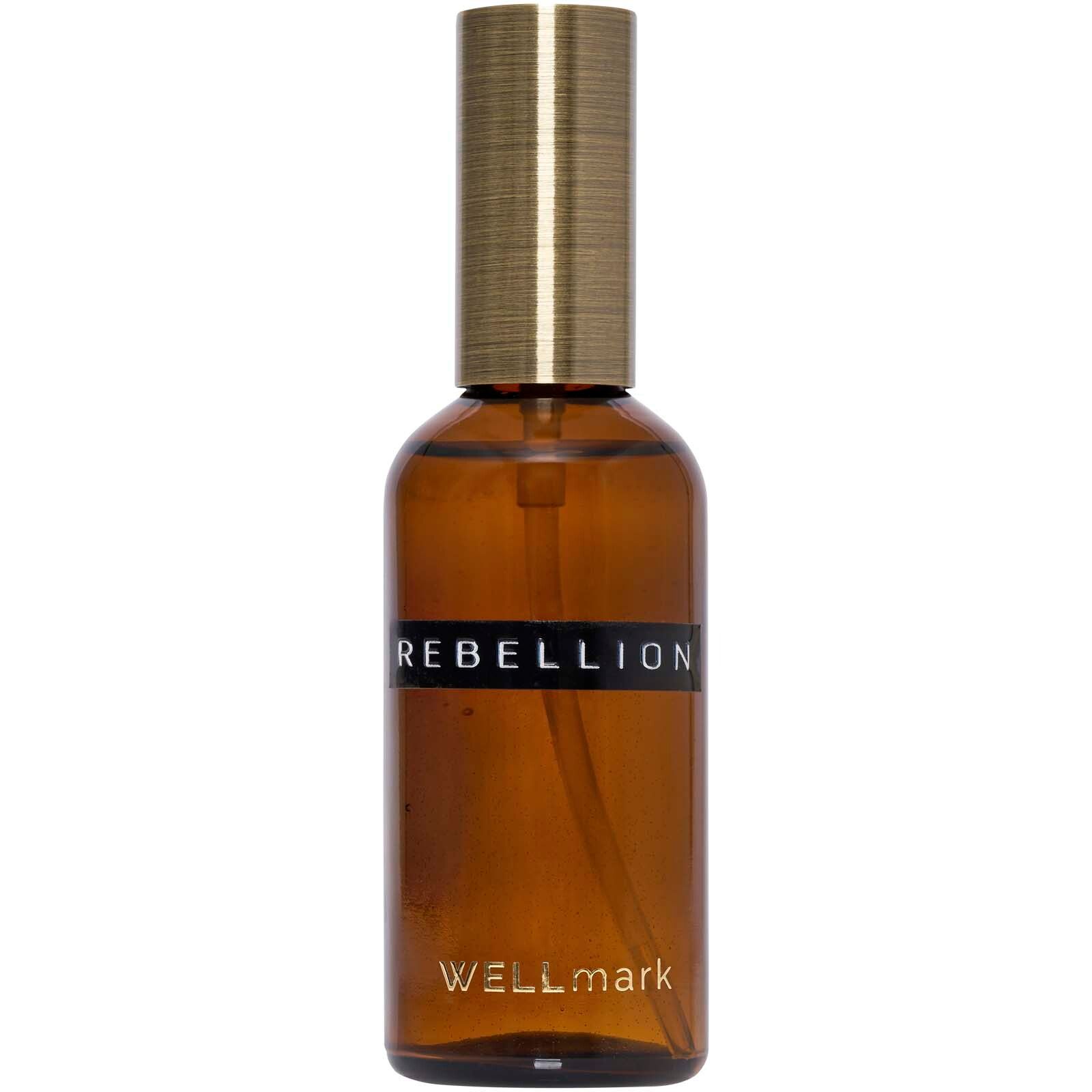 Wellmark 100 ml Raumspray - maroon rot-905