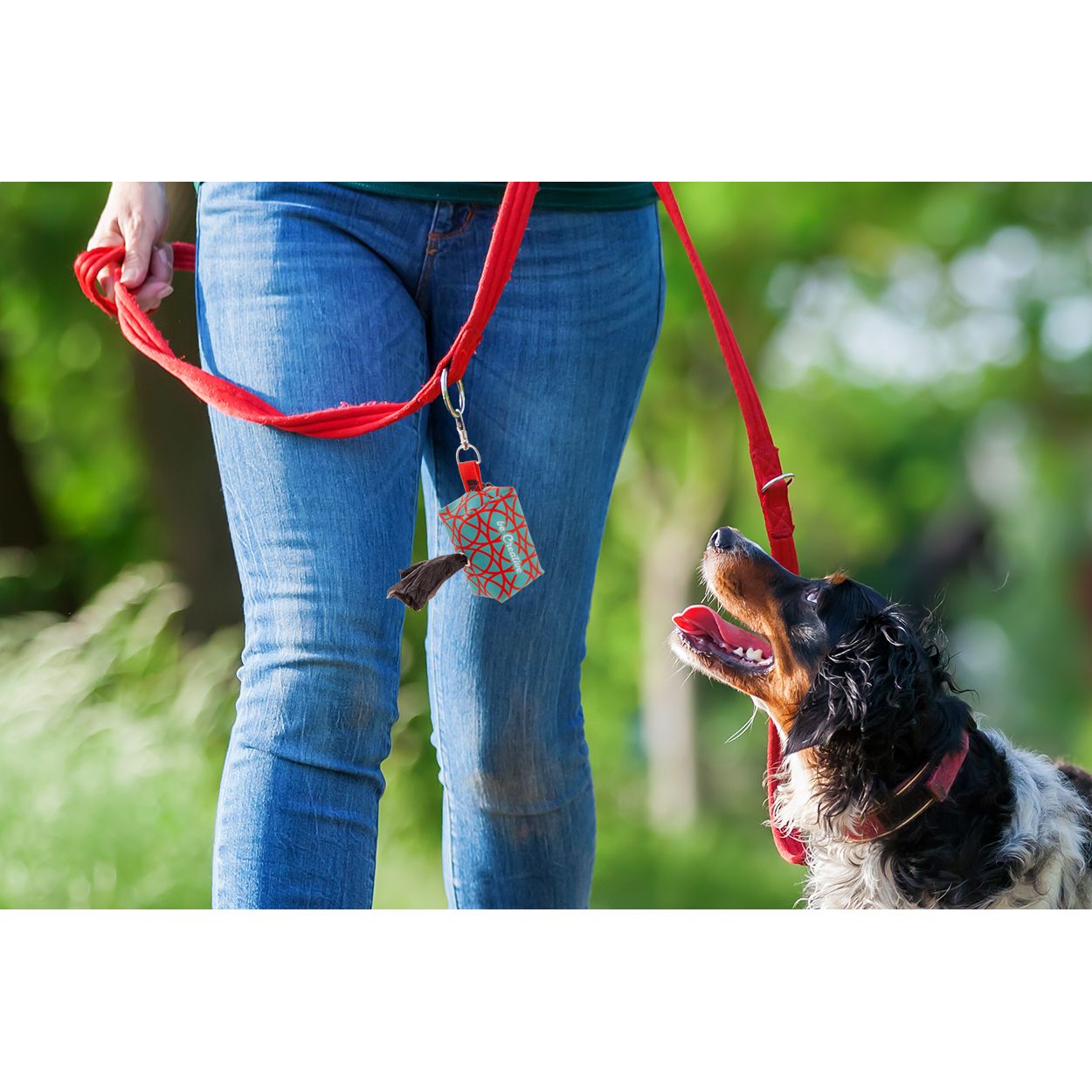 Pavesave Individueller RPET Hundebeutelspender - weiß-582