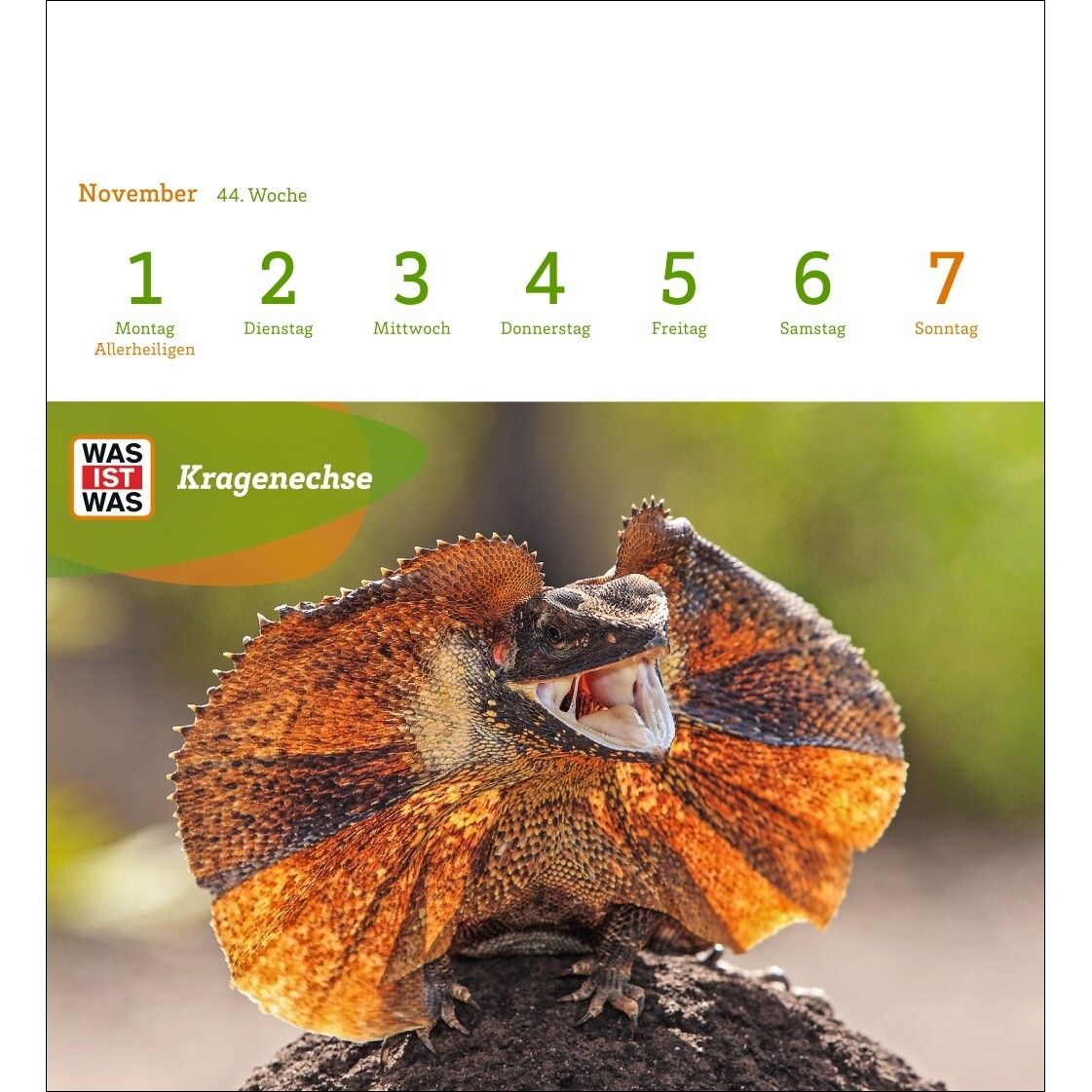 WAS IST WAS Geniale Tiere Postkartenkalender-245