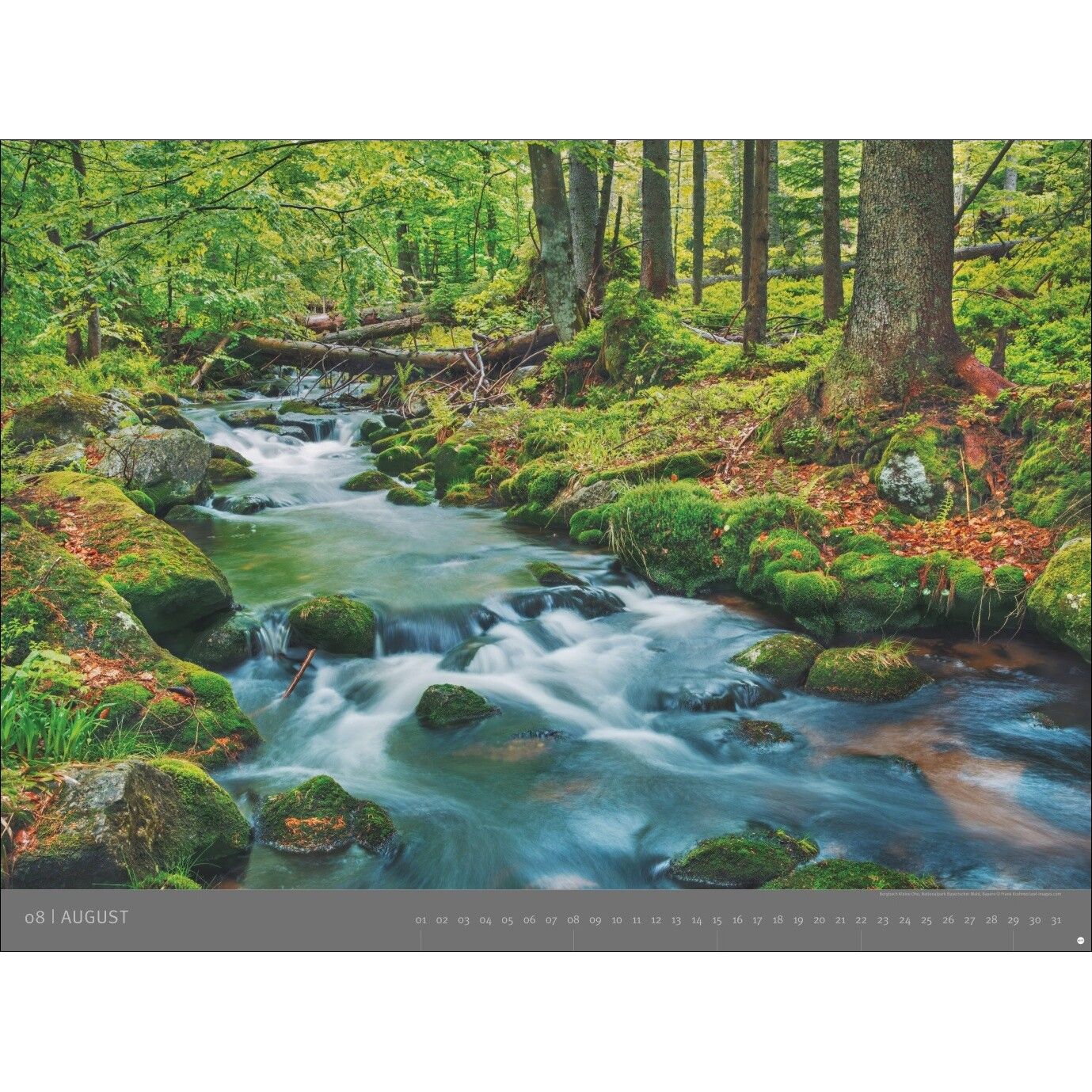 AvH Deutsche Nationalparks - Landschaft & Natur Kalender-561