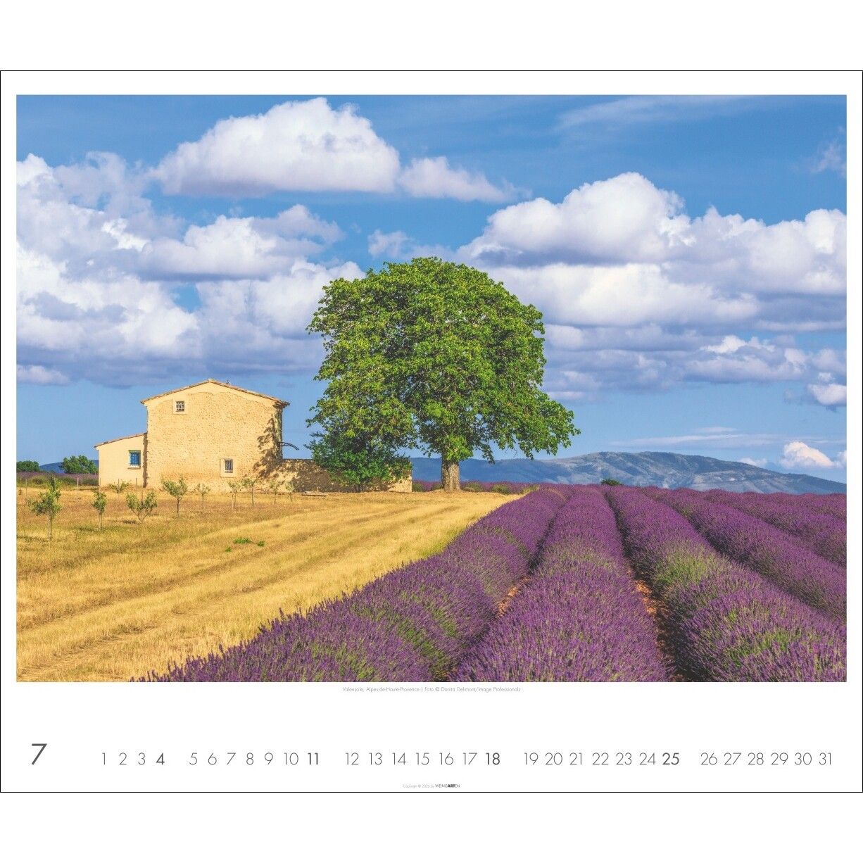 Provence - Landschaft & Natur Kalender-993