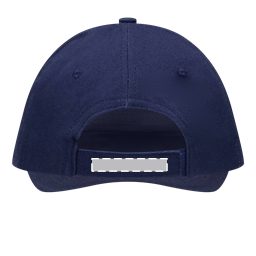 Positionsbild P09-56-0702093_WALK_z_Back-strap_T-RT-DT_T.png