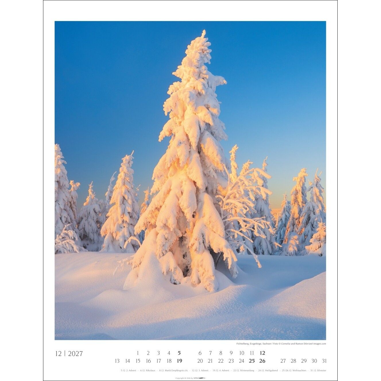 Heimische Wälder - Landschaft & Natur Kalender-582