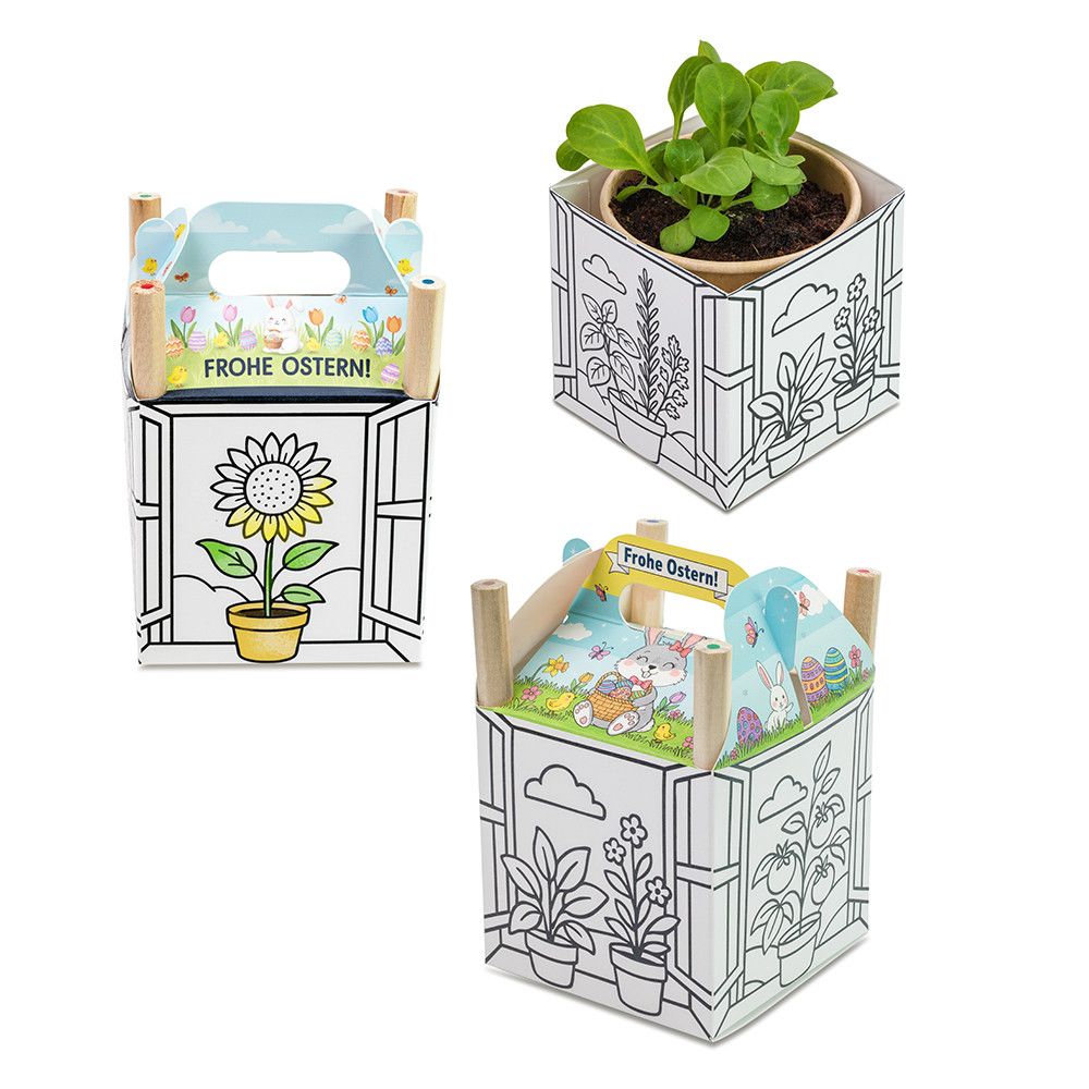 Colour & Grow House - Ostern - Vergissmeinnicht-869