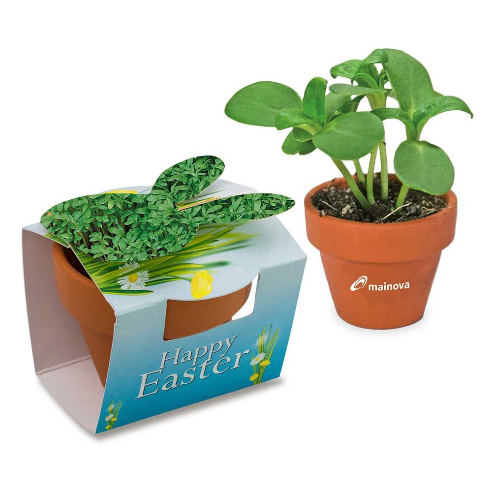 Tontöpfchen-Hase mit Samen - Gartenkresse inkl. Tampondruck-994