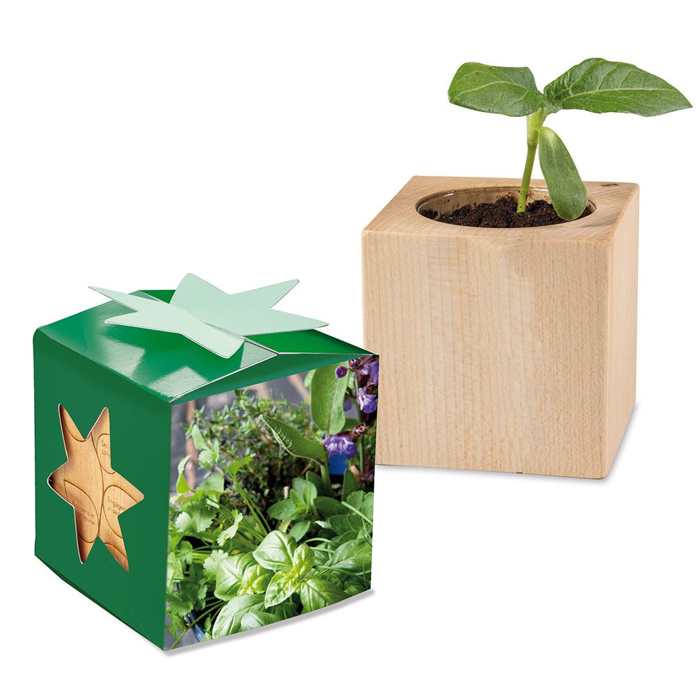 Pflanz-Holz Star-Box mit Samen - Kräutermischung, 1 Seite gelasert-962