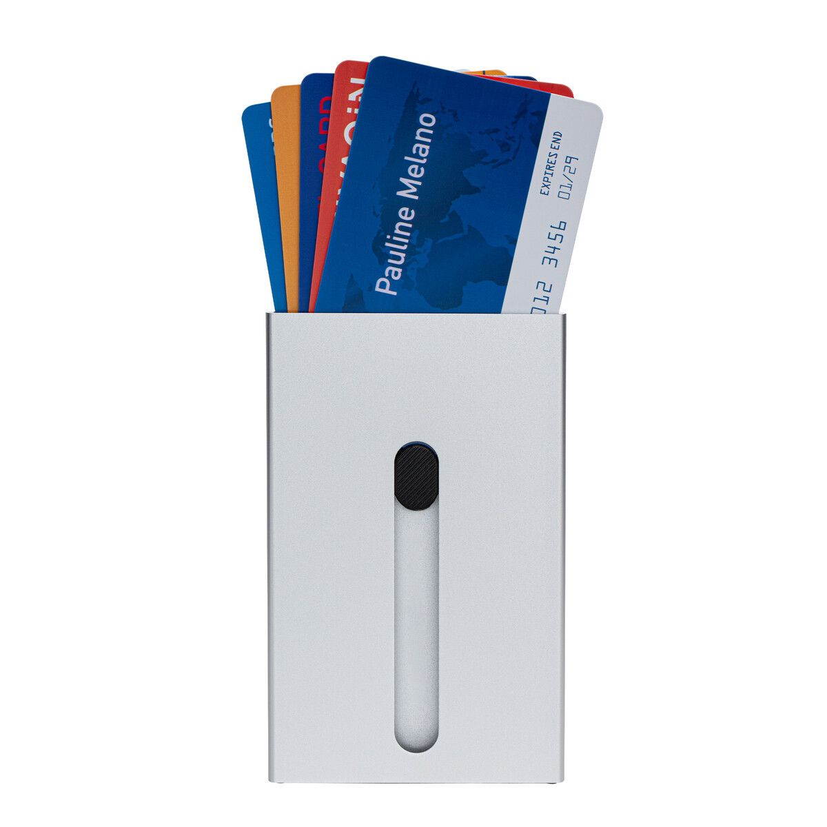 Kartenetui mit RFID-Ausleseschutz RE98-GRAND OUVERT - silber-494