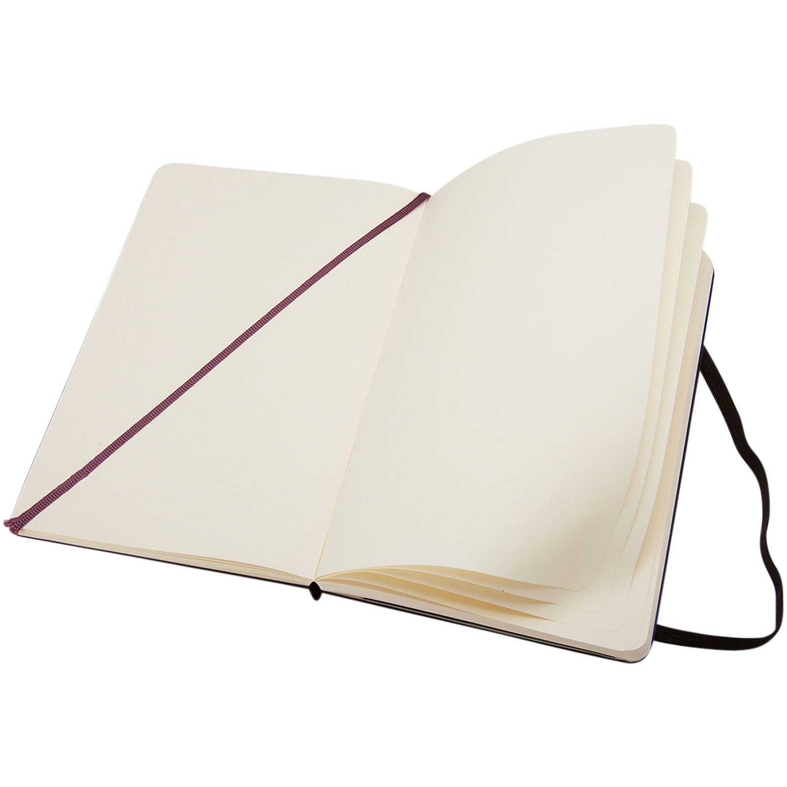 Moleskine Classic Hardcover Notizbuch L – blanko - schwarz-844