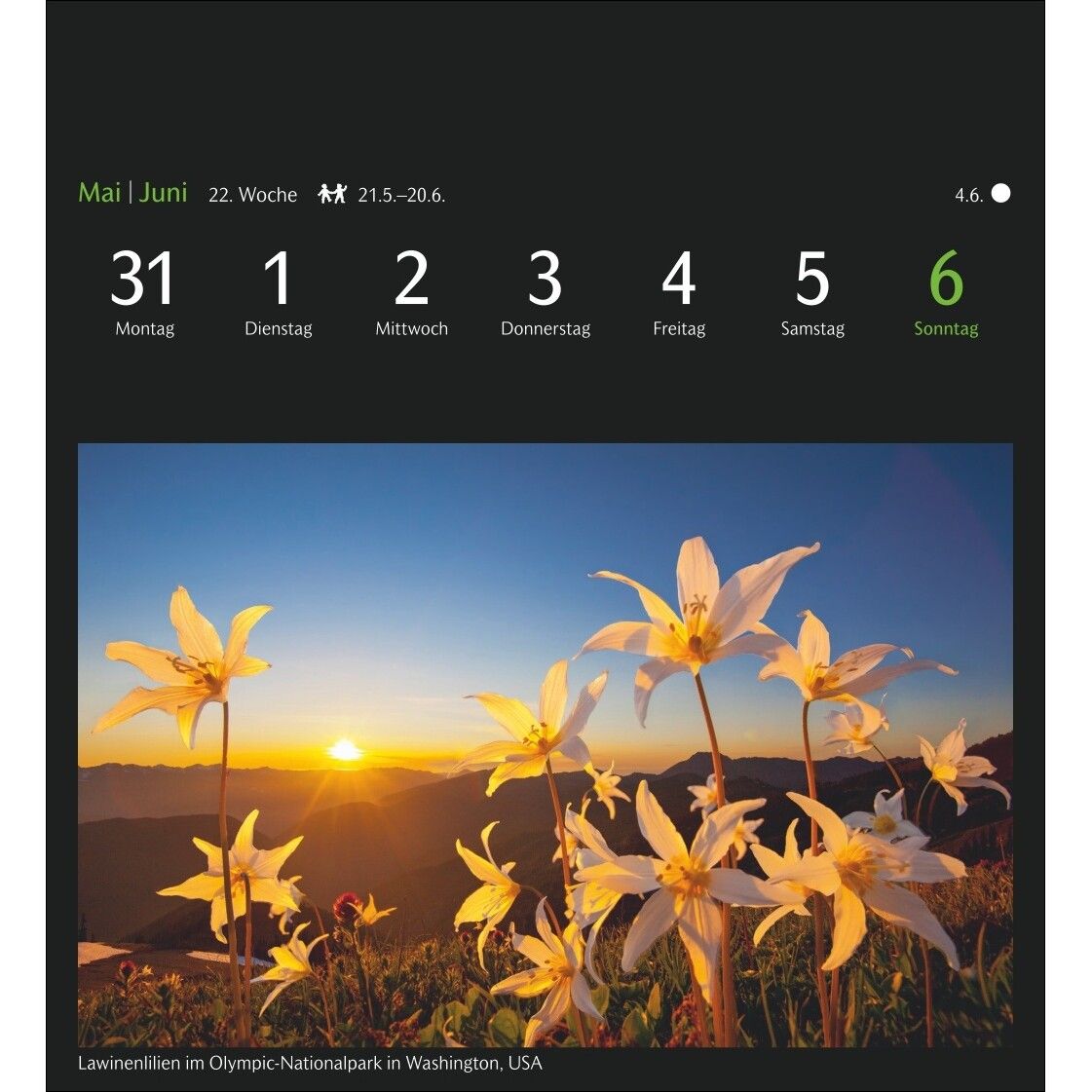 GEO Magische Natur Postkartenkalender-764