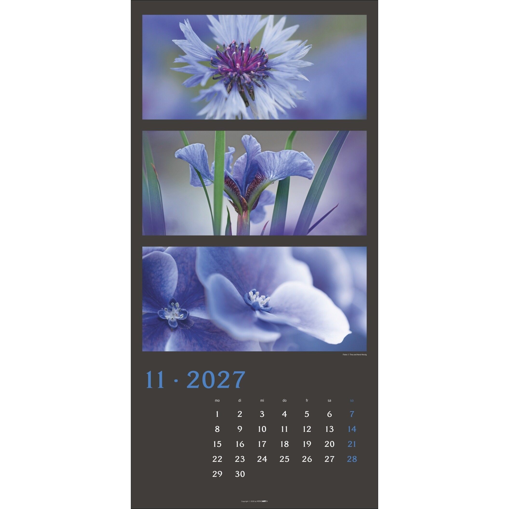 Die Farben der Natur - Landschaft & Natur Kalender-165