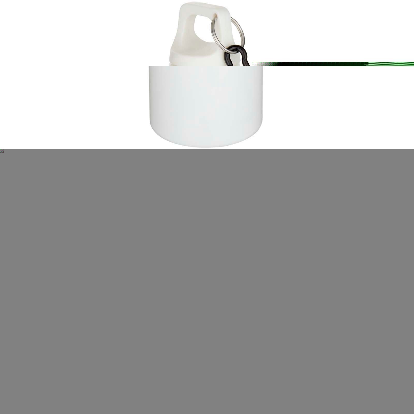 Oregon 750 ml einfarbige RS-zertifizierte Wasserflasche aus recyceltem Kunststoff mit Karabinerhaken   - weiss-187