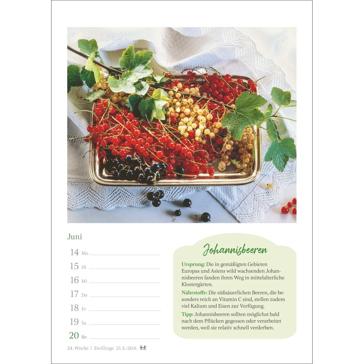 Der kleine Küchenkalender Wochenkalender-502