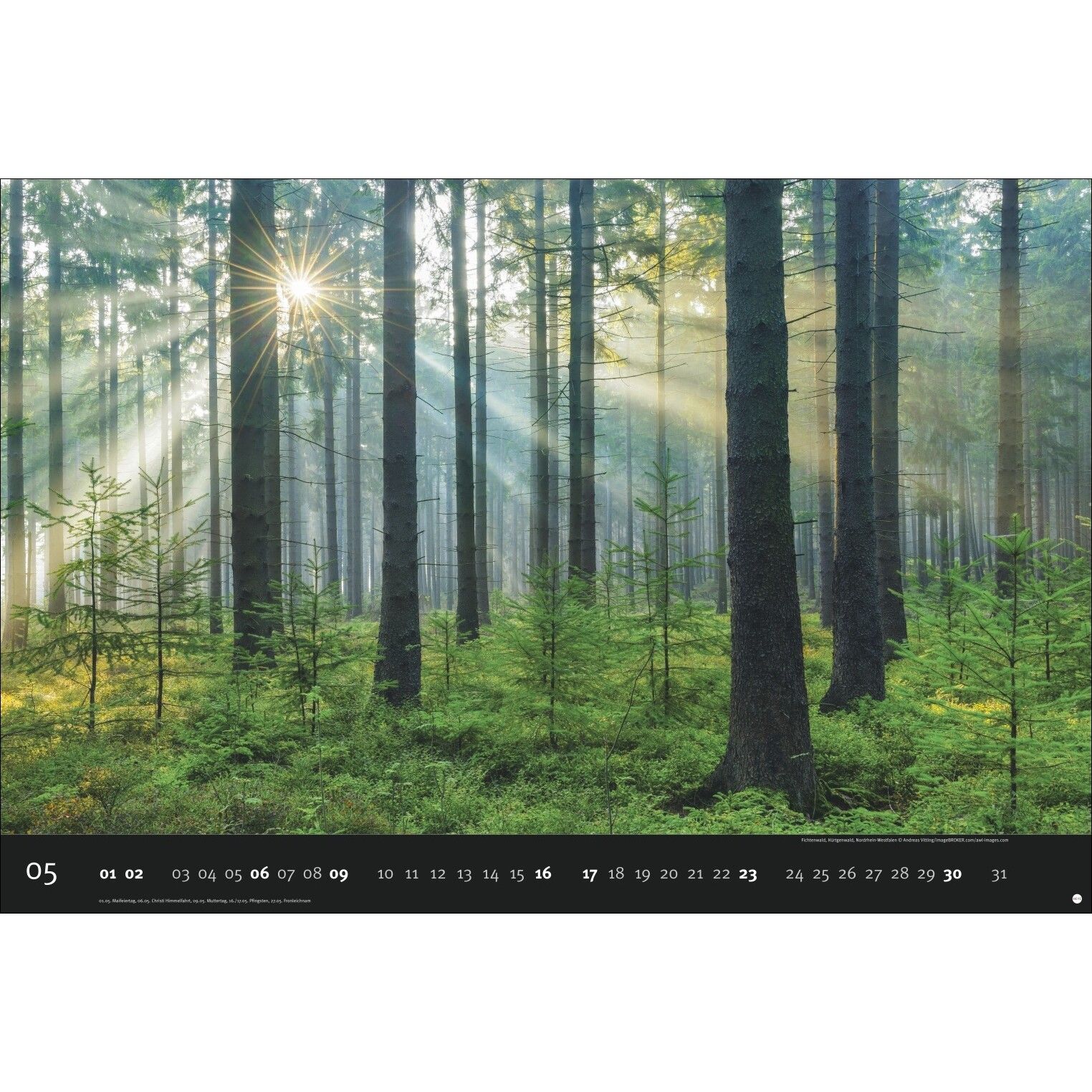 AvH Deutschlands Naturparadiese - Landschaft & Natur Kalender-542
