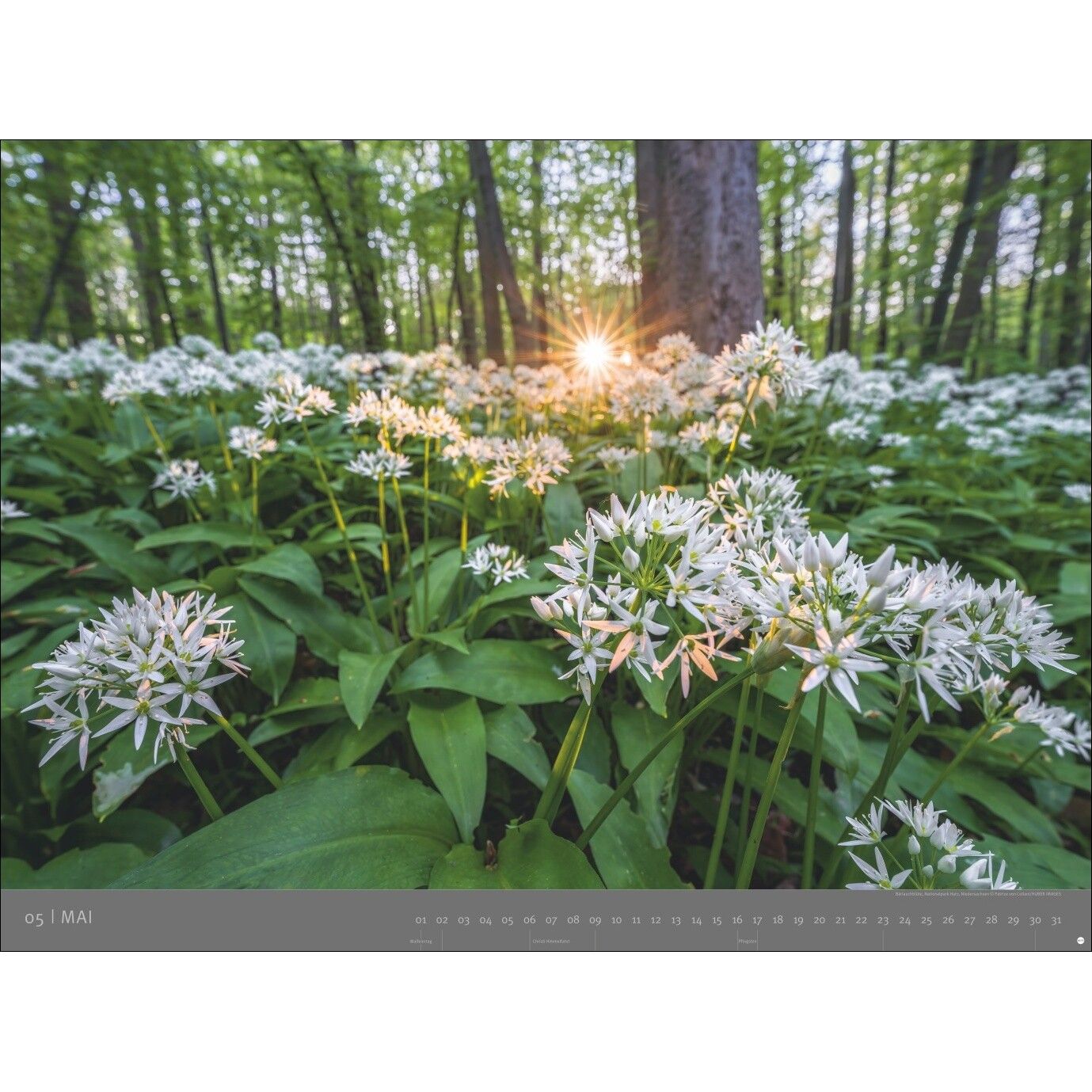 AvH Deutsche Nationalparks - Landschaft & Natur Kalender-744