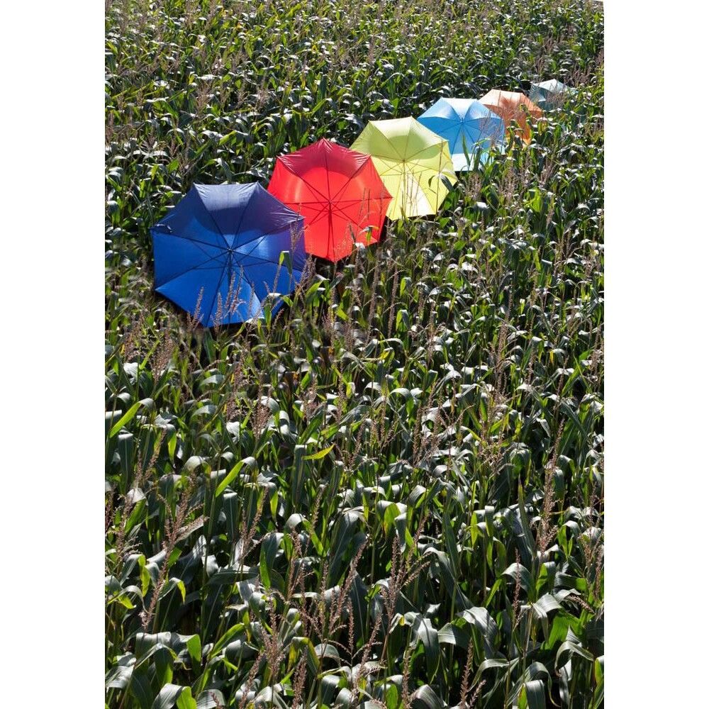 Automatik Stockschirm aus Polyester Andy - rot-633