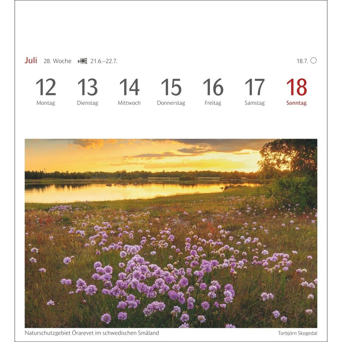 Lichtblicke Postkartenkalender-451