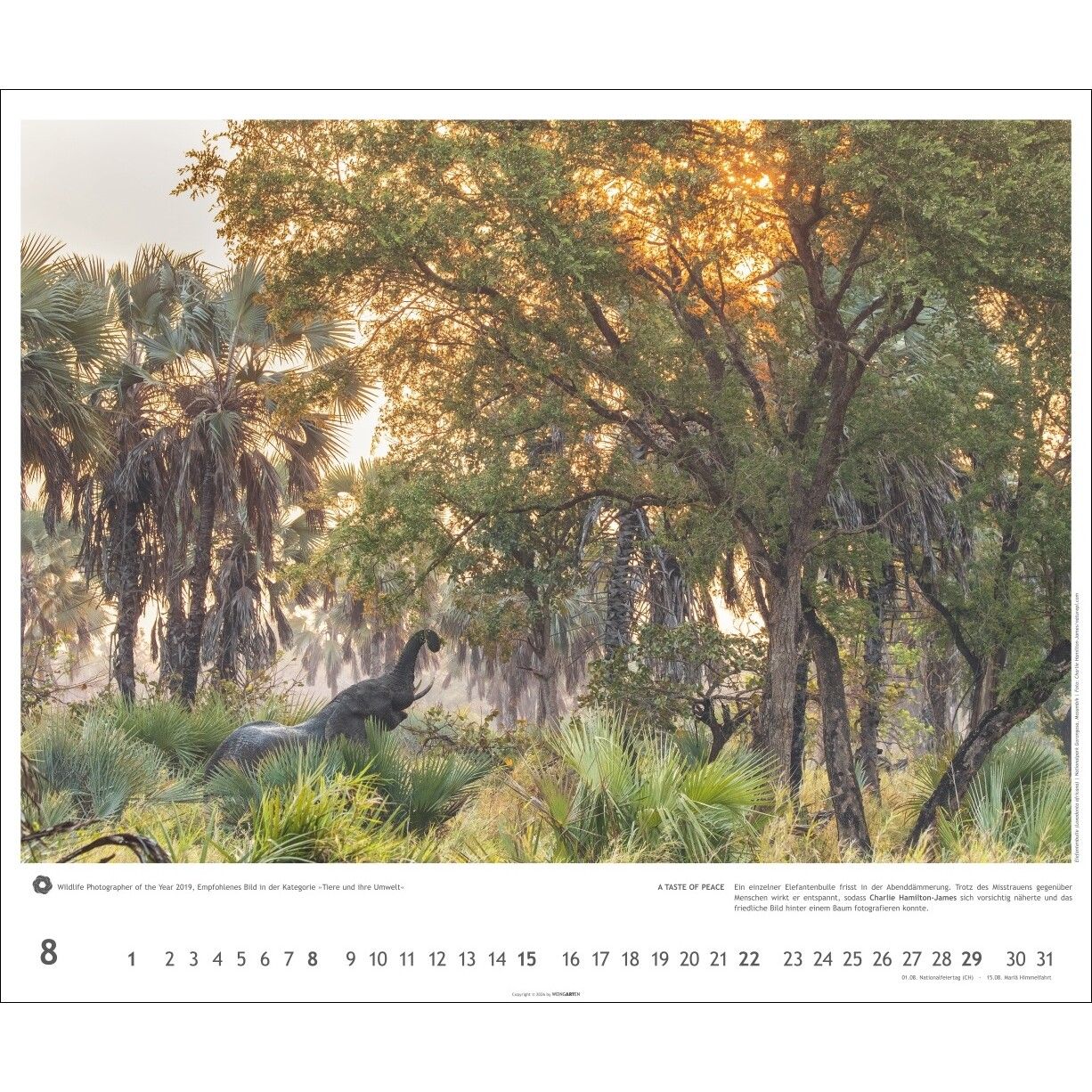 Meisterwerke der Natur - Landschaft & Natur Kalender-235