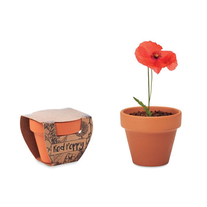 Terracotta-Topf Mohnblume RED POPPY - holz-4