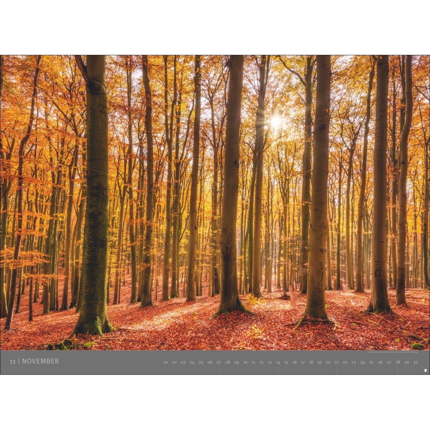 AvH Deutsche Nationalparks - Landschaft & Natur Kalender-807